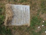 image of grave number 737797